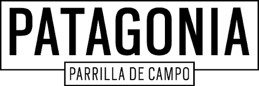 patagonia logo